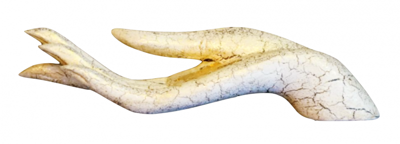 media/image/Mitgefu-hl.png